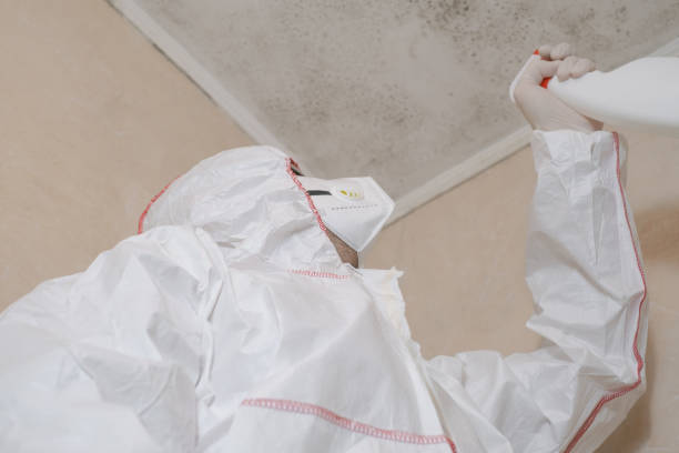 Best Professional Mold Removal  in Sharpsburg, NC
