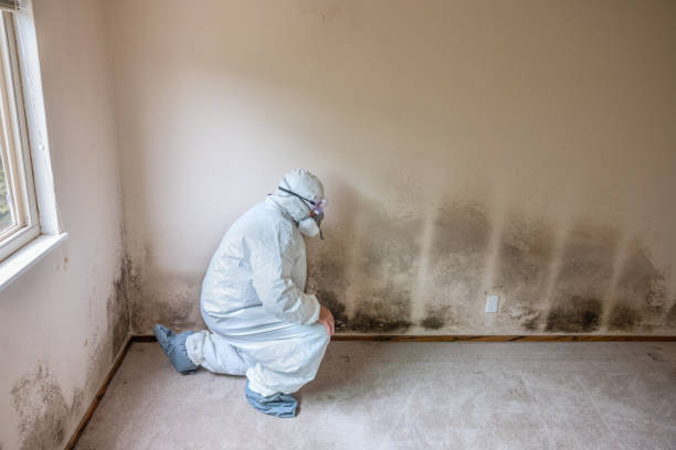 Best Mold Testing  in Sharpsburg, NC